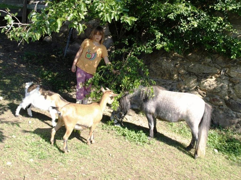 Ferienwohnung Am Oberrainerhof Arriach Εξωτερικό φωτογραφία